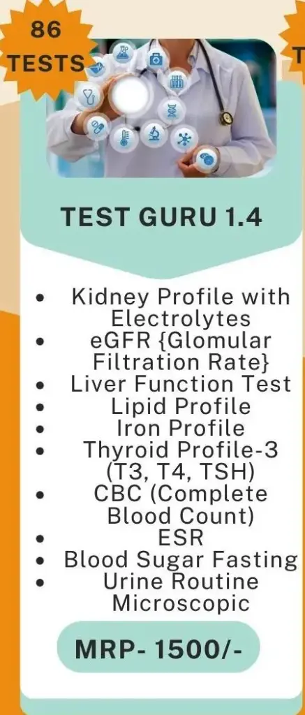 Test Guru 1.4