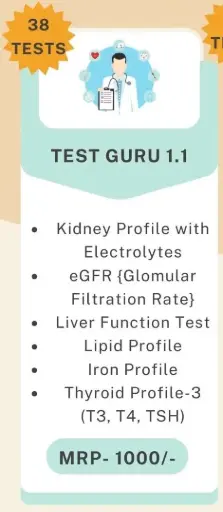 Test Guru 1.1