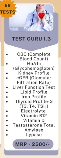 Test Guru 1.3