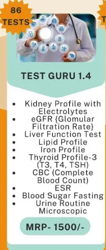 Test Guru 1.4